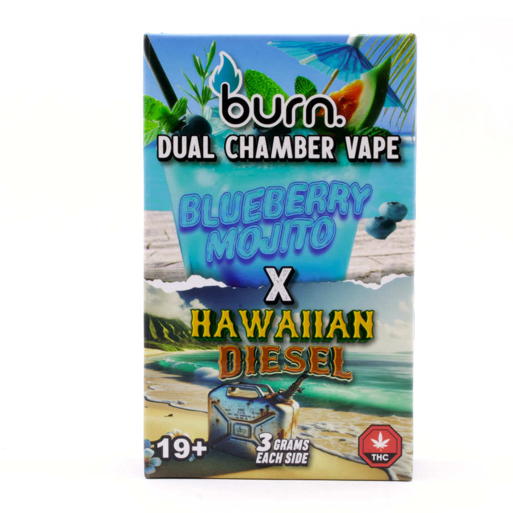 6g Dual Chamber Vape Pen by Burn